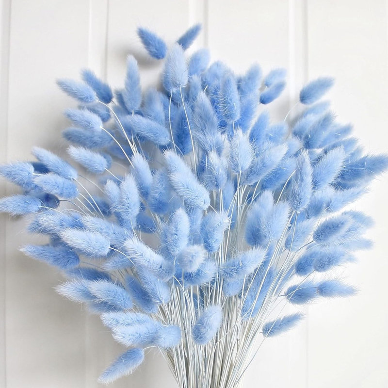 Florist Supply Vases - 100 Buah Ekor Kelinci Biru Rumput
